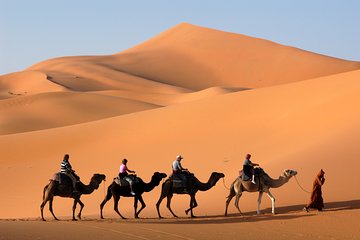 Evening Camel Tekking Dubai With Dinner