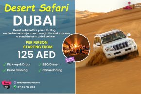 Red Desert Travel