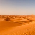 Desert Dubai Adventures