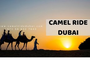 Camel Ride Dubai