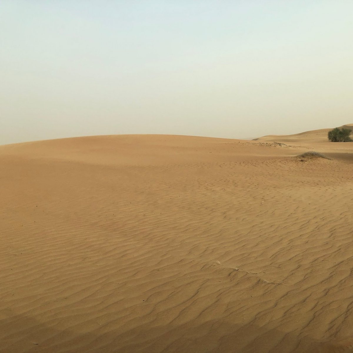 Desert Dubai Adventures