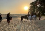 JSR Equestrian Club
