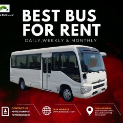 LUXURY ART PASSENGER TRANSPORT BY BUSES RENTAL LLC