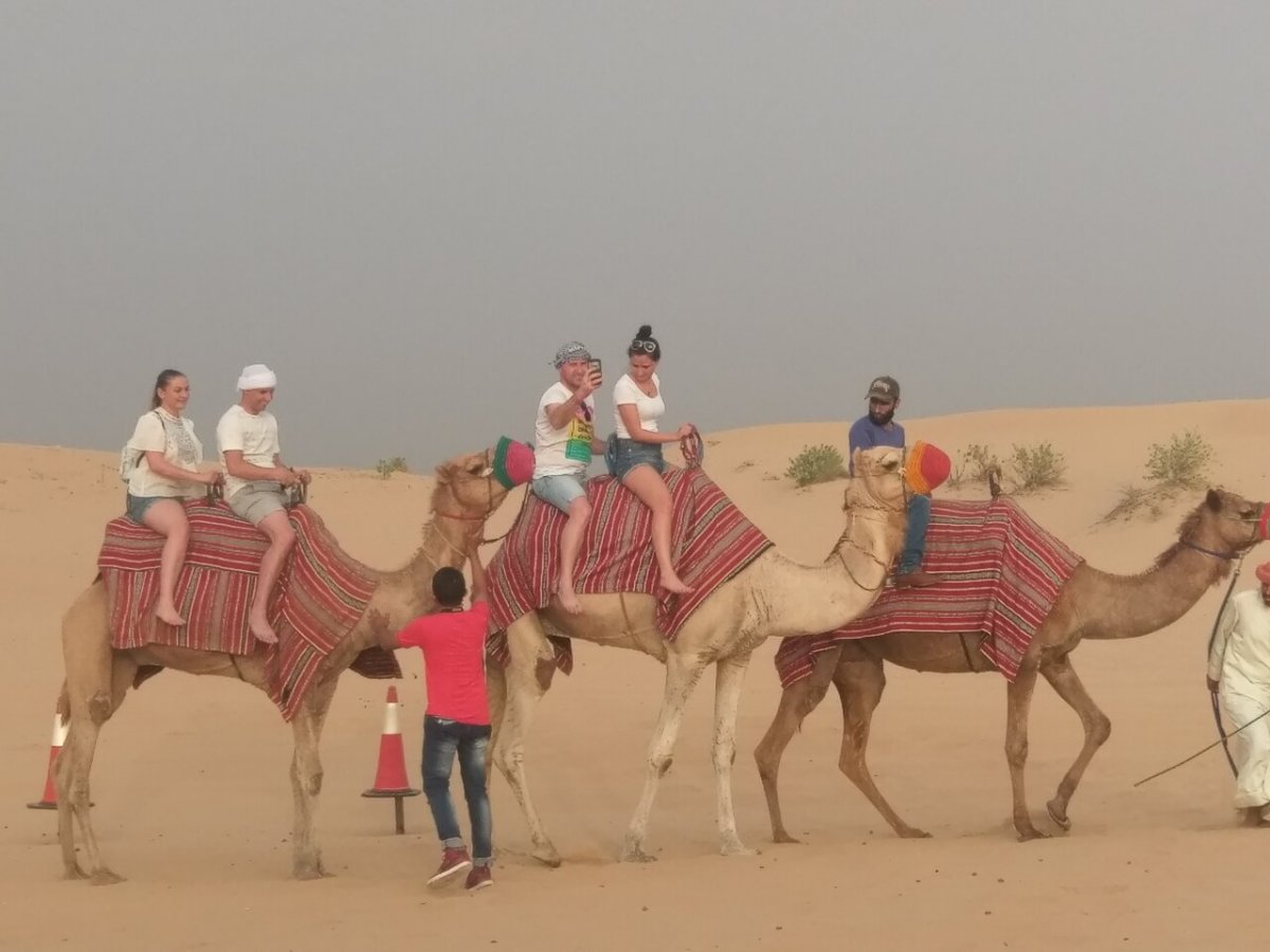 Camel Ride Dubai