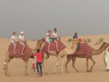 Camel Ride Dubai